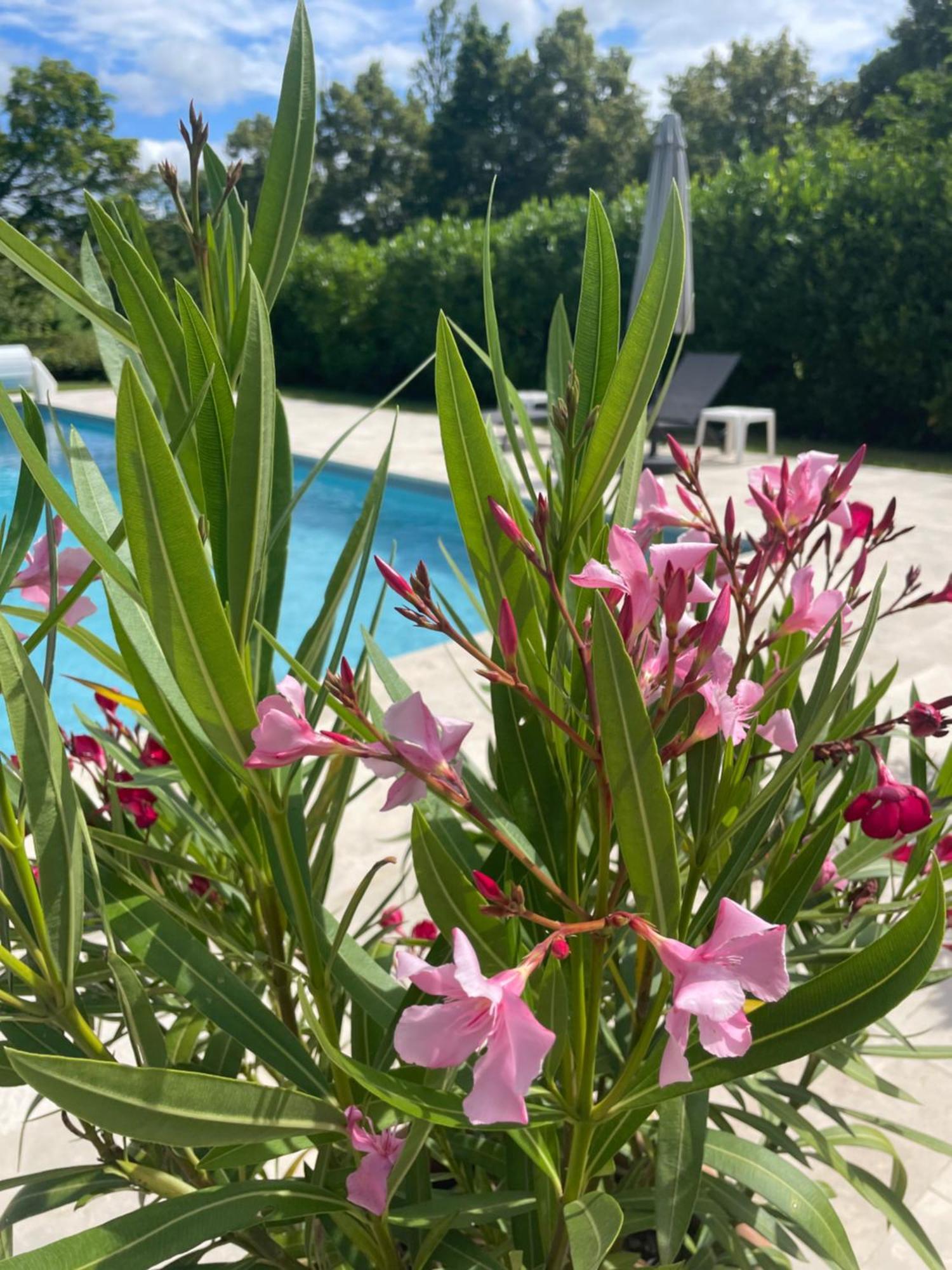 La Grange Du Barry Bed and Breakfast Belveze Esterno foto